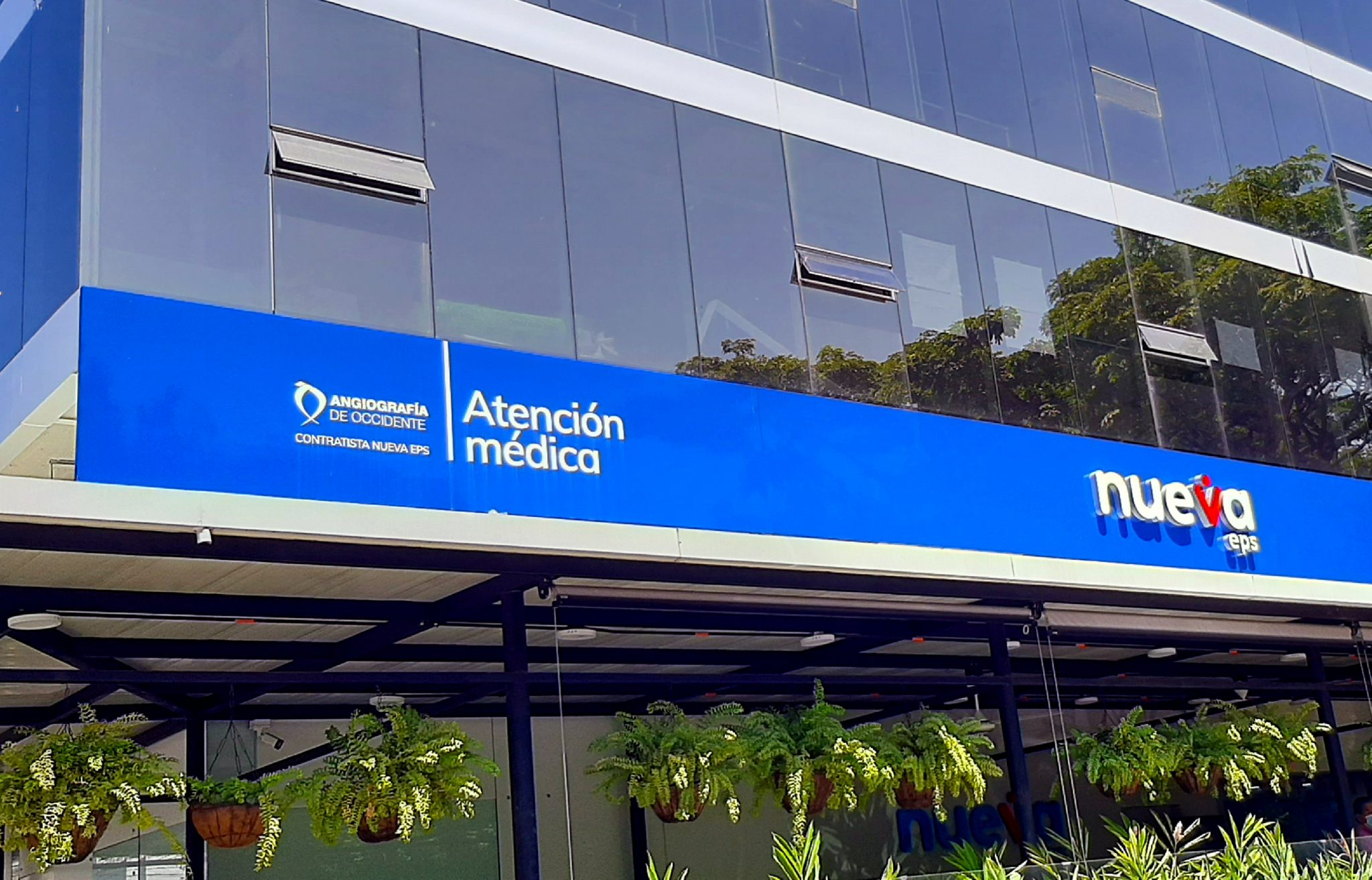 Avisos8