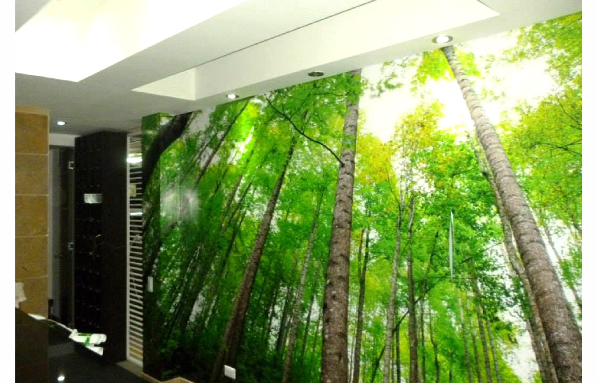 MURAL19