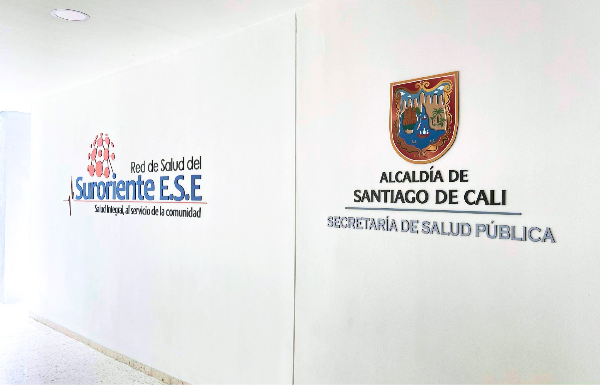 RED DE SALUD SURORIENTE