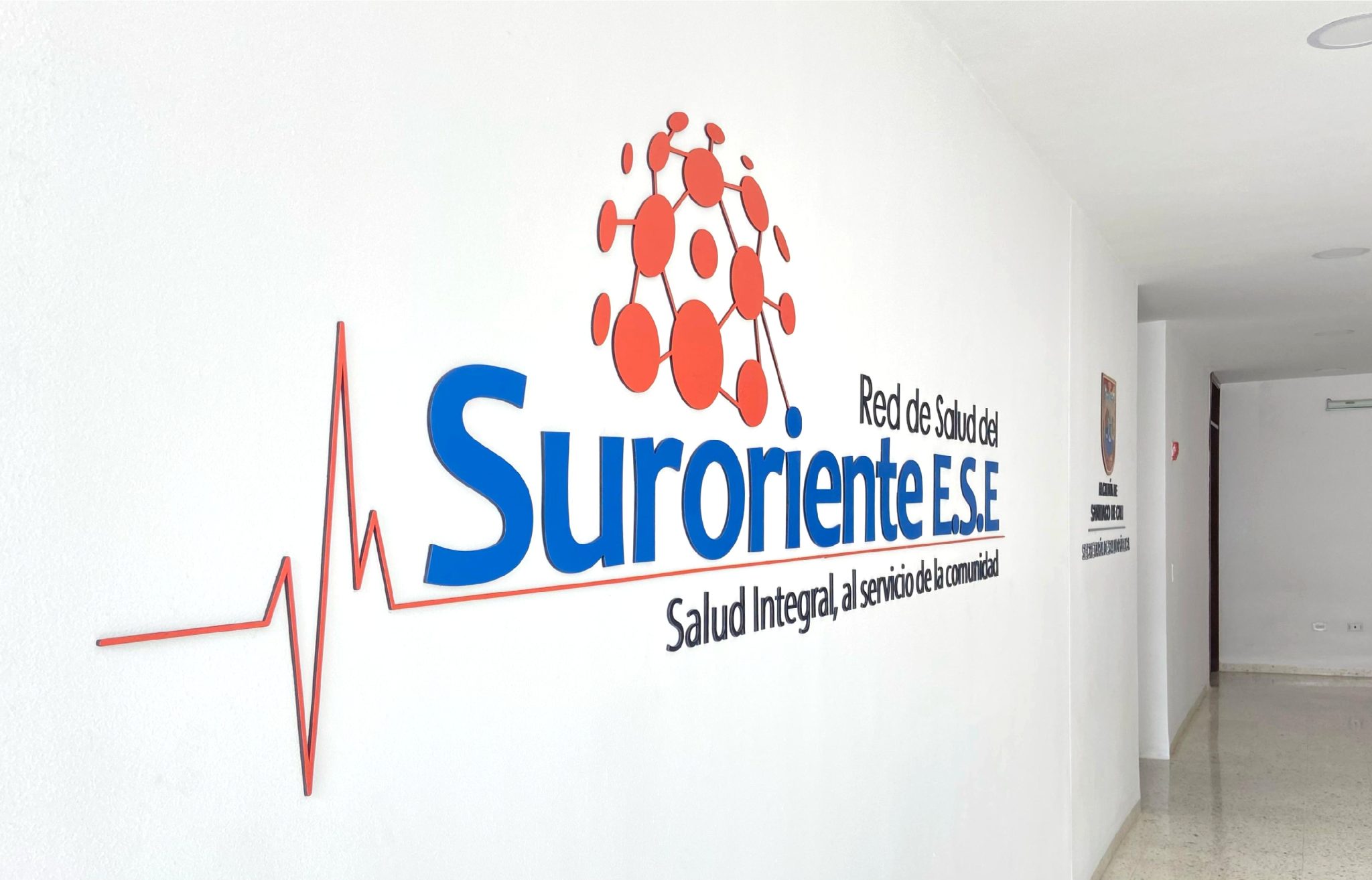 RED DE SALUD SURORIENTE